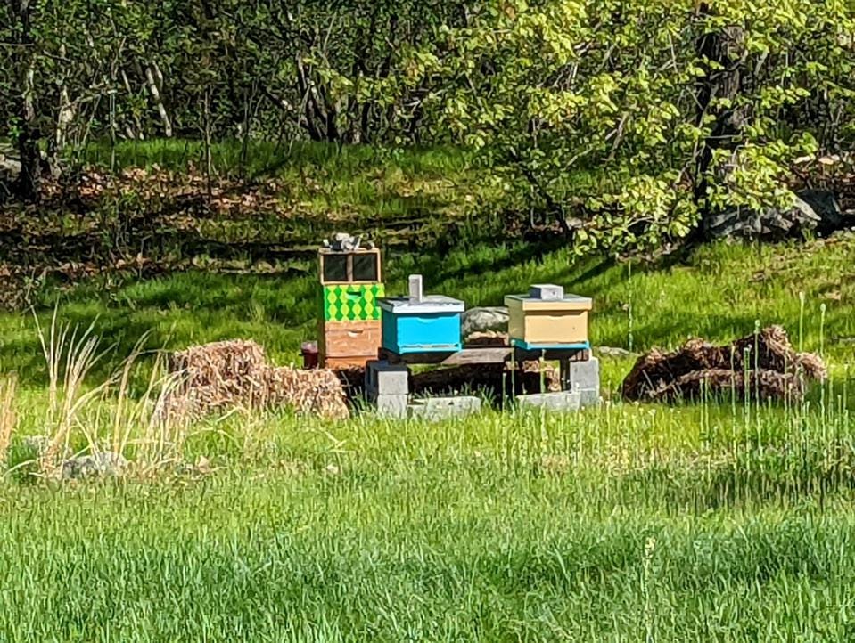 Beehives